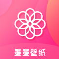 手机进外网加速软件
