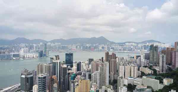 布谷下载