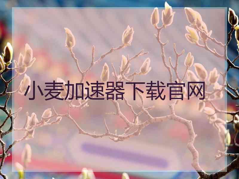小麦加速器下载官网