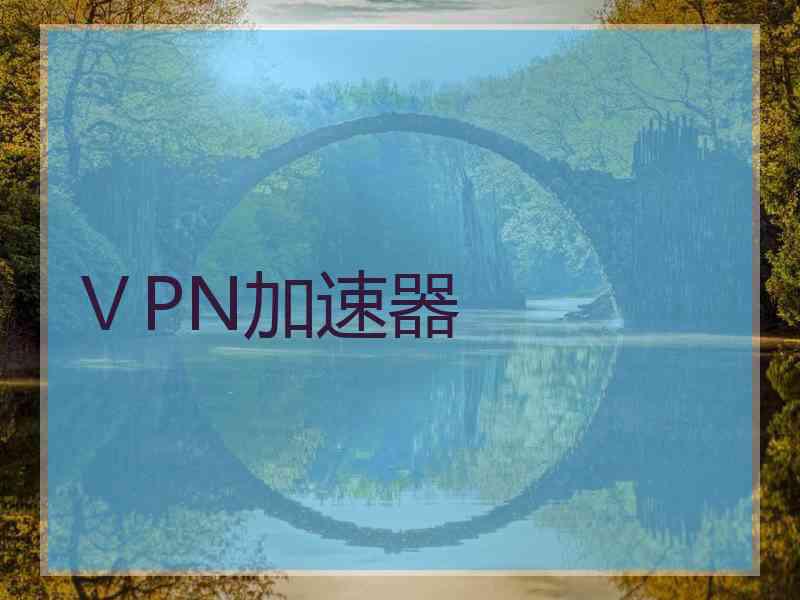 ⅤPN加速器