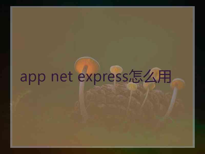 app net express怎么用