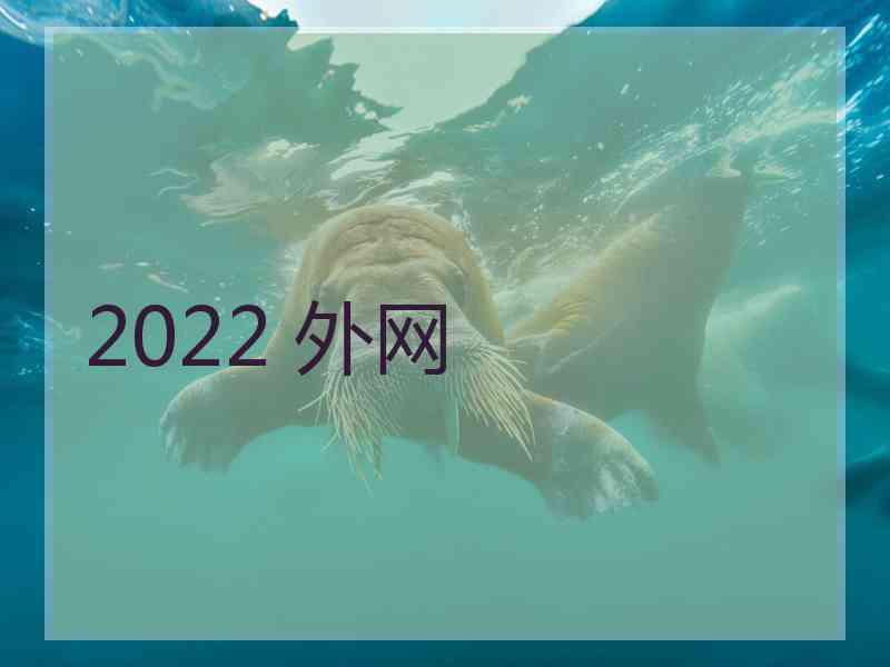 2022 外网