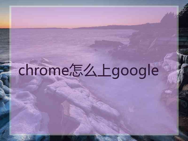 chrome怎么上google