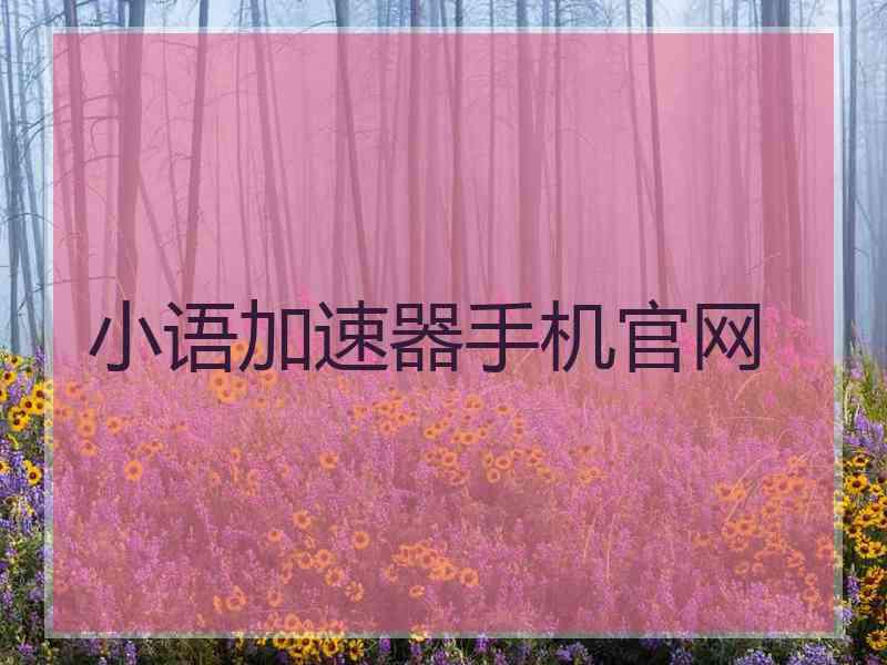 小语加速器手机官网