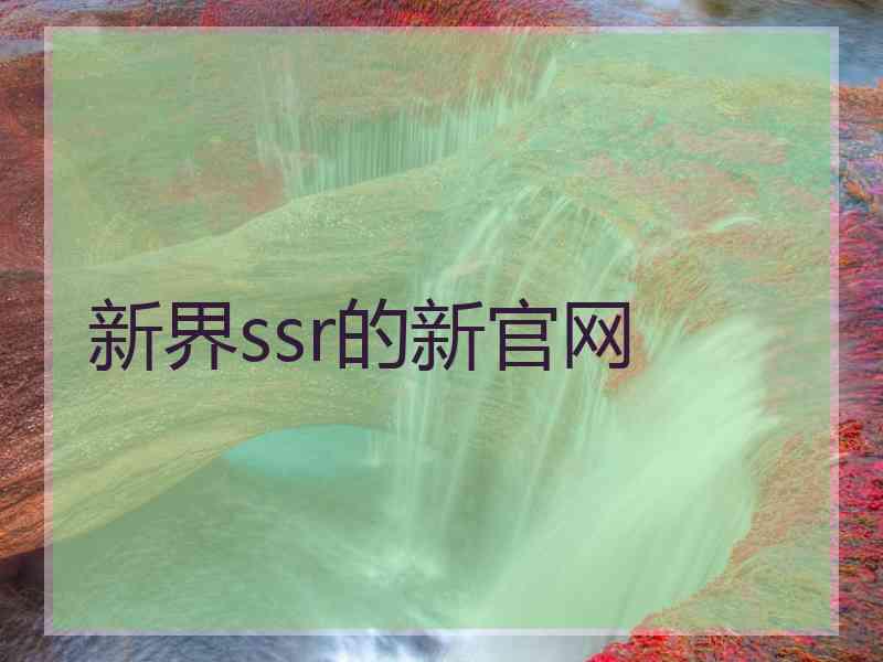 新界ssr的新官网