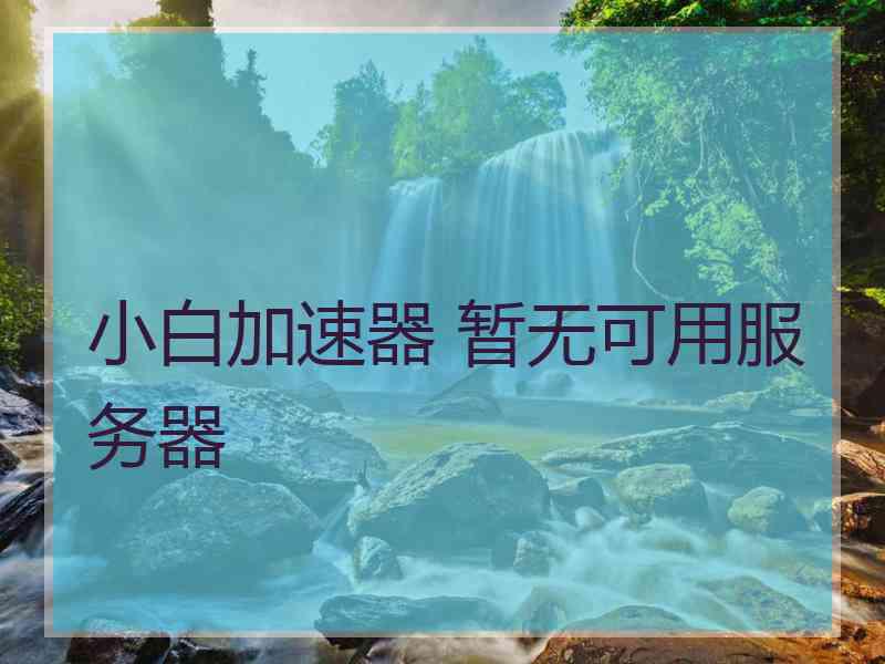 小白加速器 暂无可用服务器