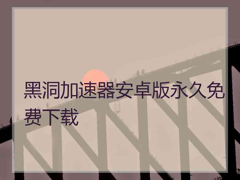 黑洞加速器安卓版永久免费下载