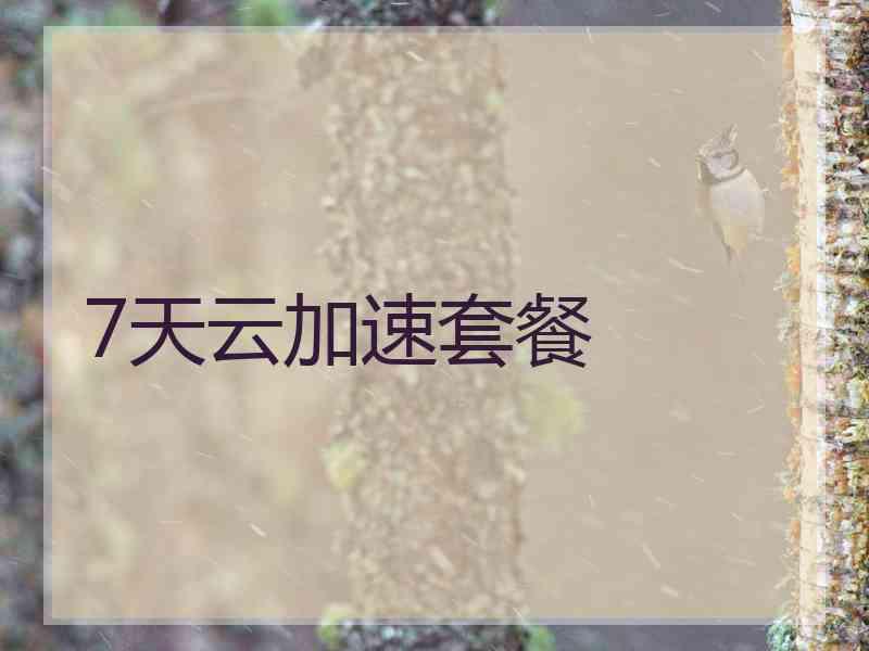 7天云加速套餐