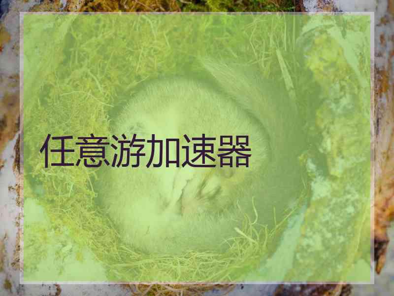 任意游加速器