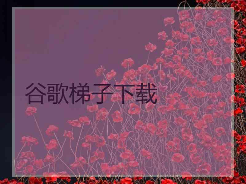 谷歌梯子下载
