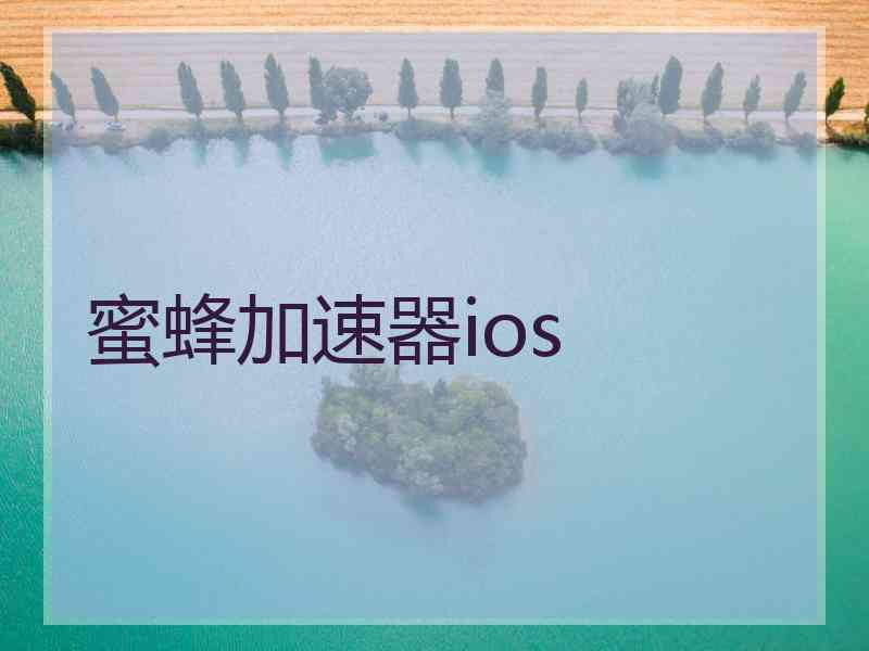 蜜蜂加速器ios