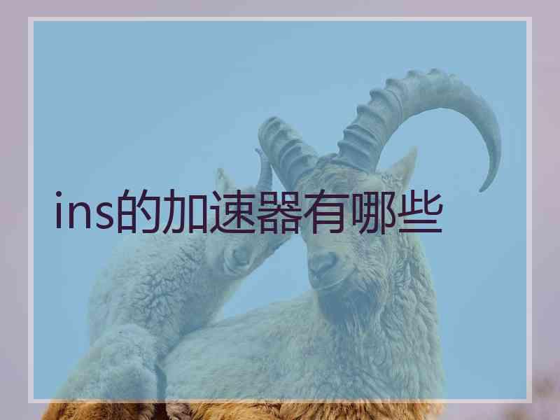 ins的加速器有哪些