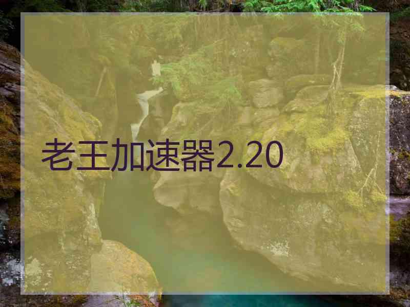 老王加速器2.20