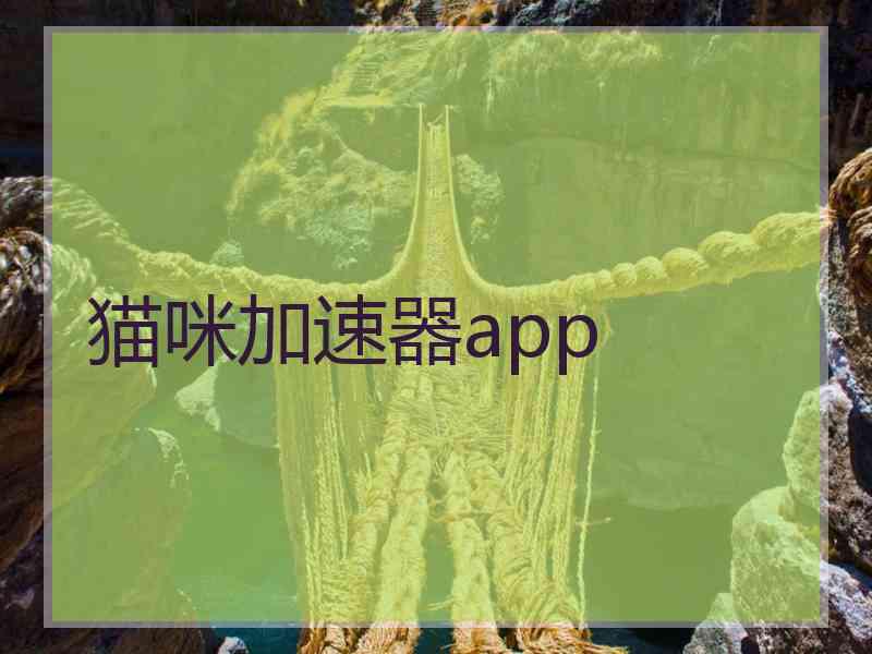 猫咪加速器app