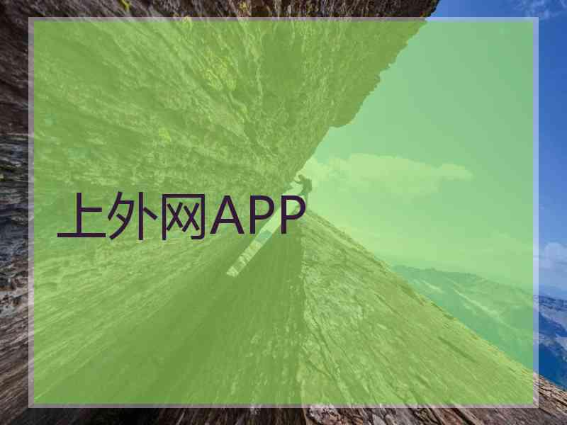上外网APP