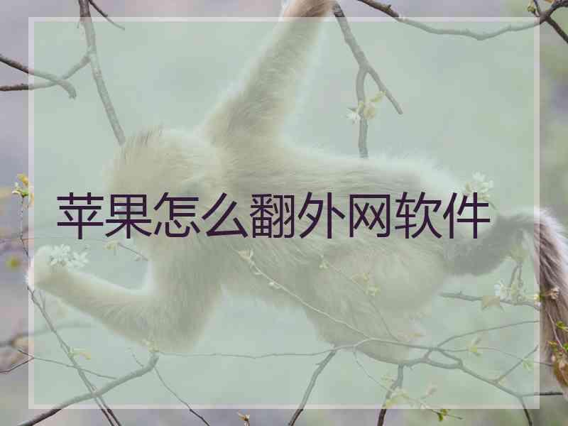 苹果怎么翻外网软件