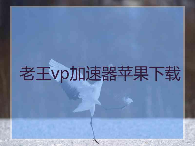 老王vp加速器苹果下载