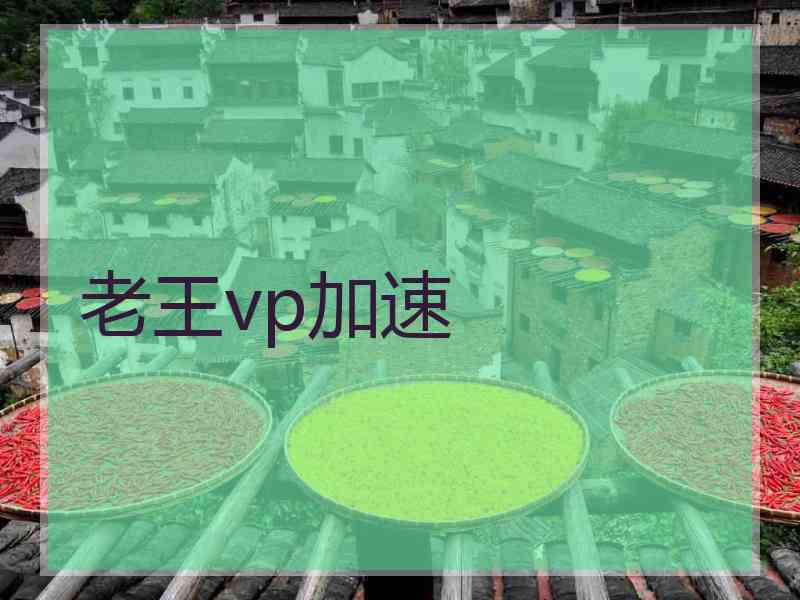 老王vp加速