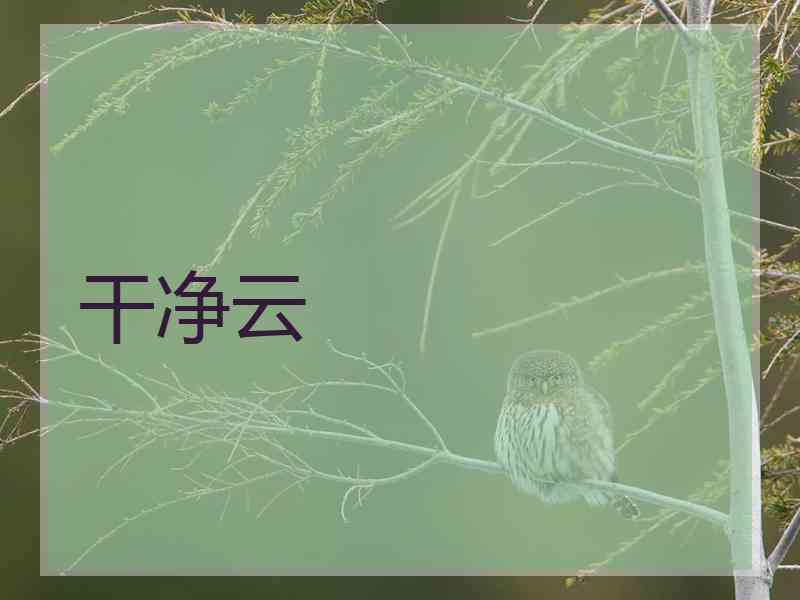 干净云
