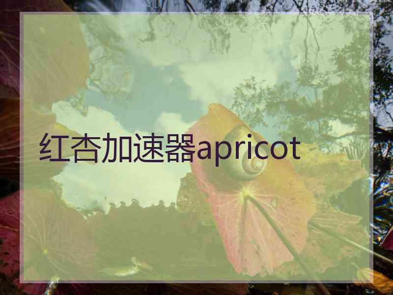 红杏加速器apricot