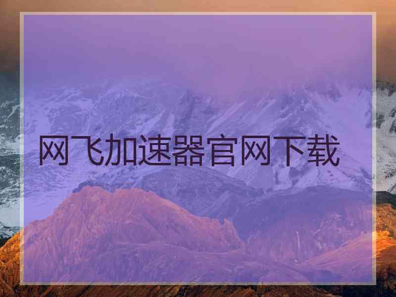 网飞加速器官网下载