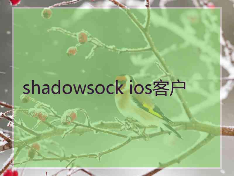 shadowsock ios客户