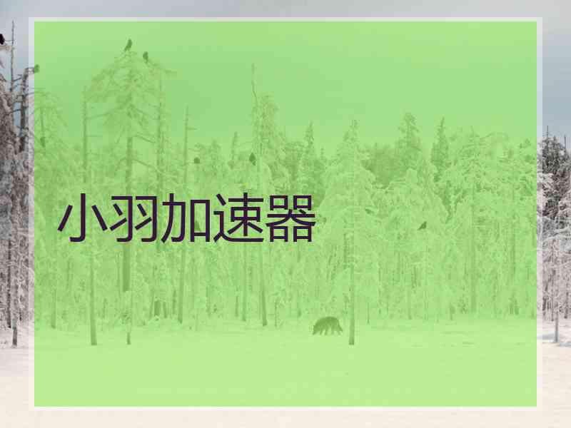 小羽加速器