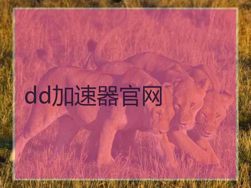 dd加速器官网
