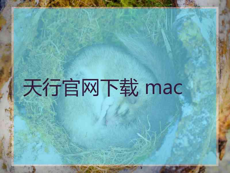 天行官网下载 mac