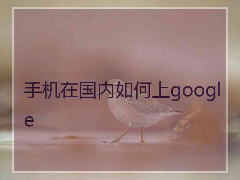 手机在国内如何上google