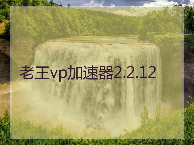 老王vp加速器2.2.12