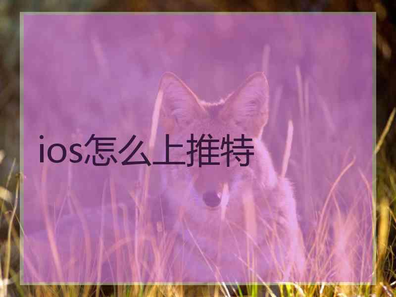 ios怎么上推特