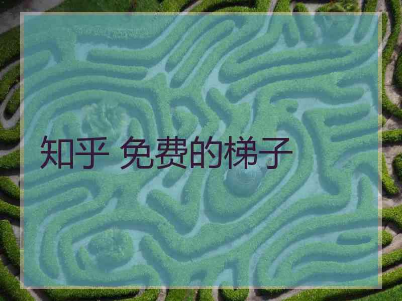 知乎 免费的梯子