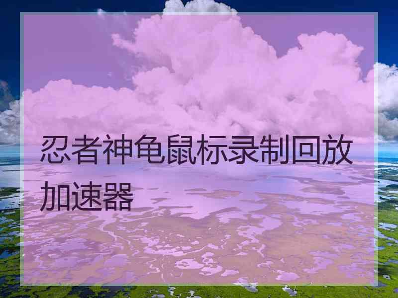 忍者神龟鼠标录制回放加速器