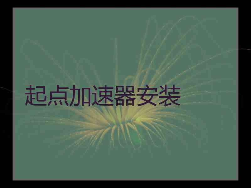 起点加速器安装