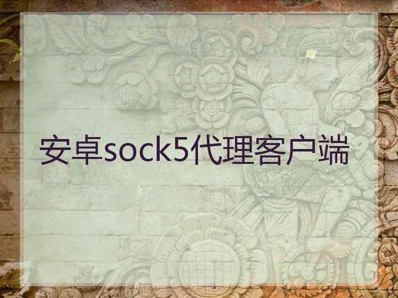 安卓sock5代理客户端