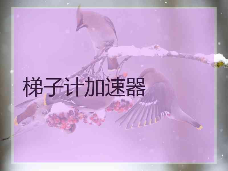 梯子计加速器