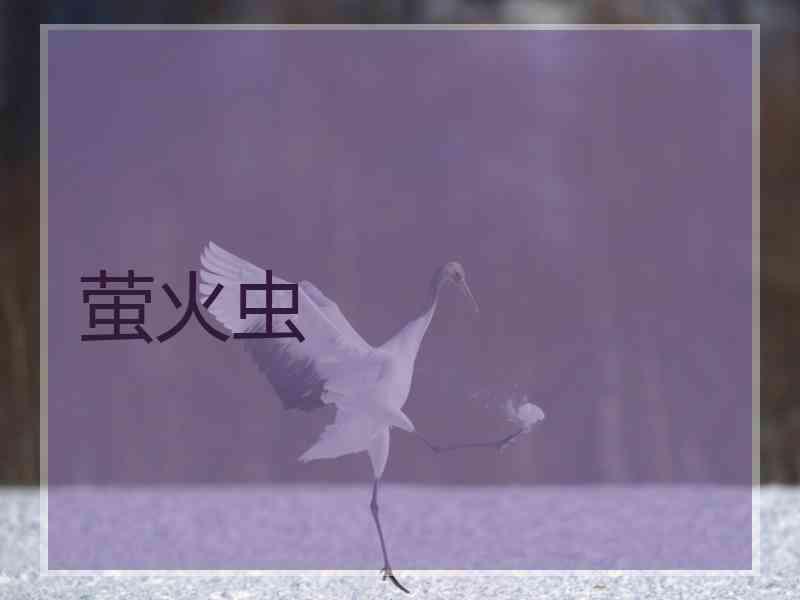 萤火虫