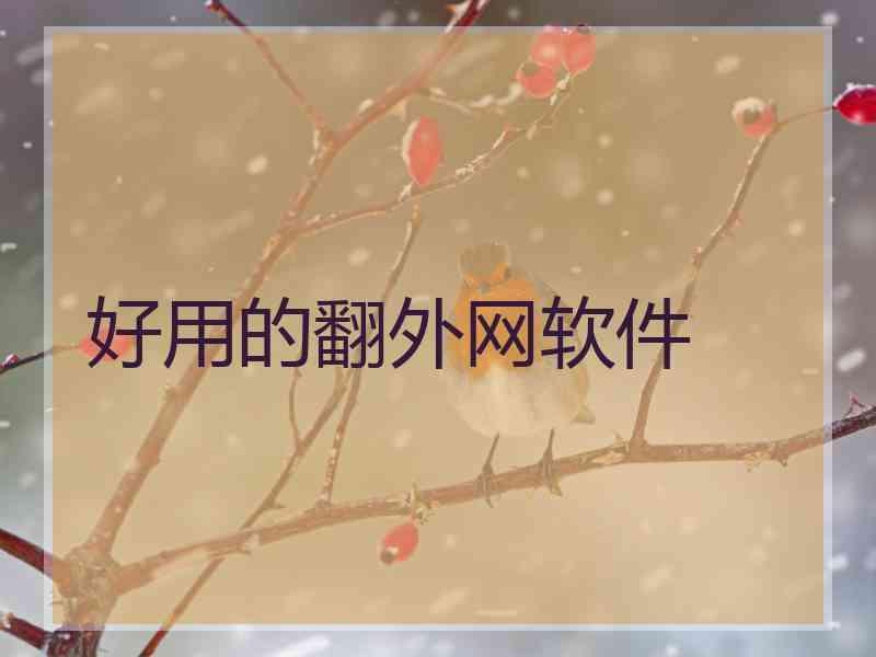 好用的翻外网软件