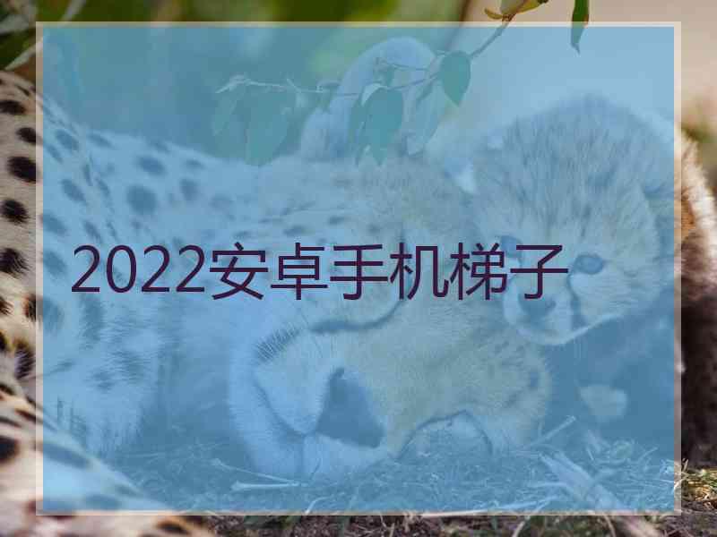 2022安卓手机梯子