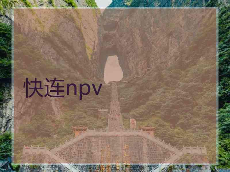 快连npv