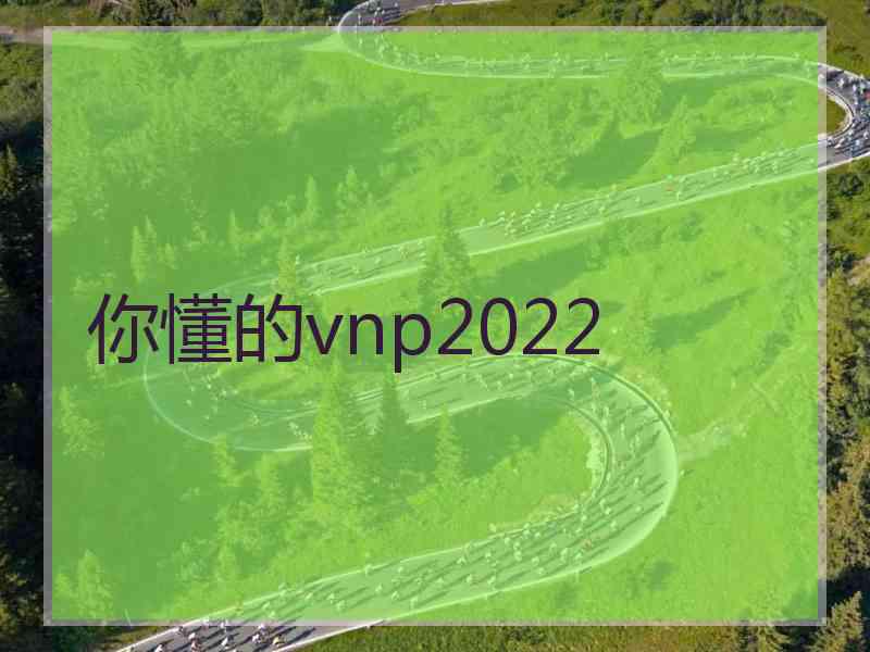 你懂的vnp2022