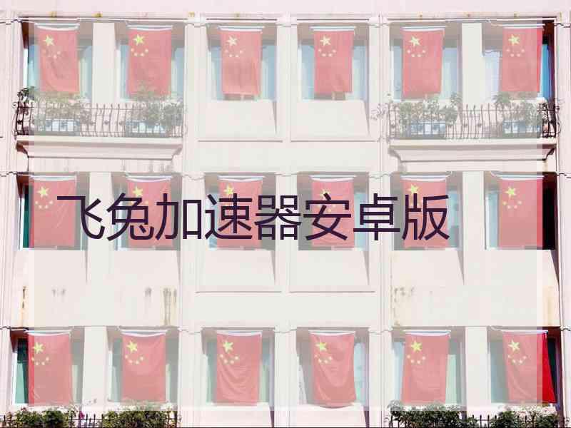 飞兔加速器安卓版