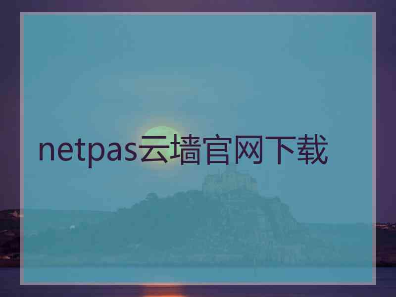 netpas云墙官网下载