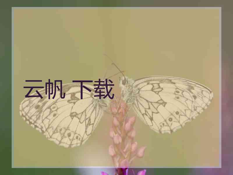 云帆 下载