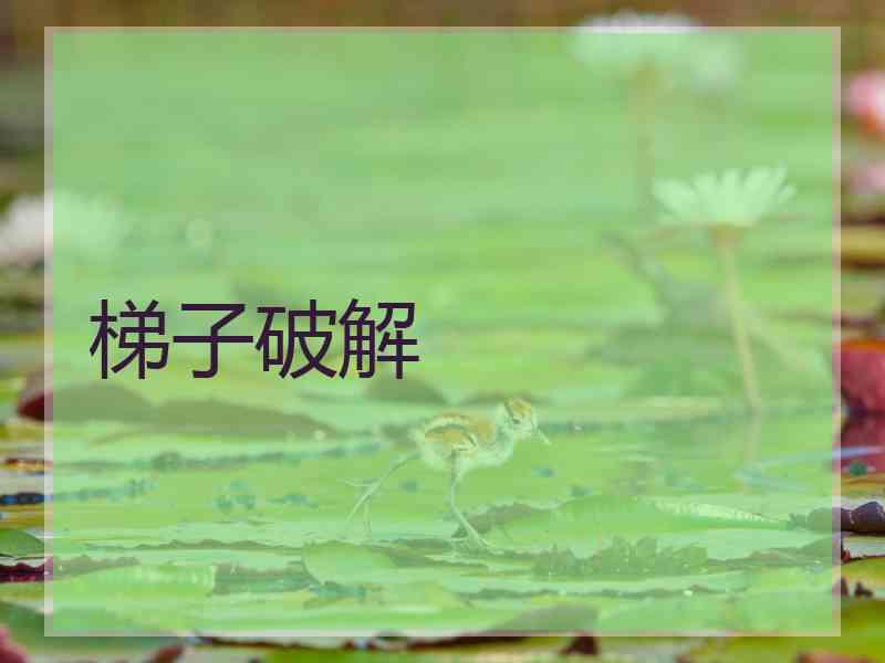 梯子破解