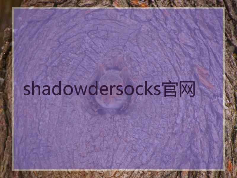 shadowdersocks官网