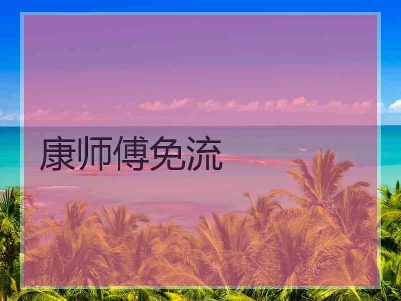 康师傅免流