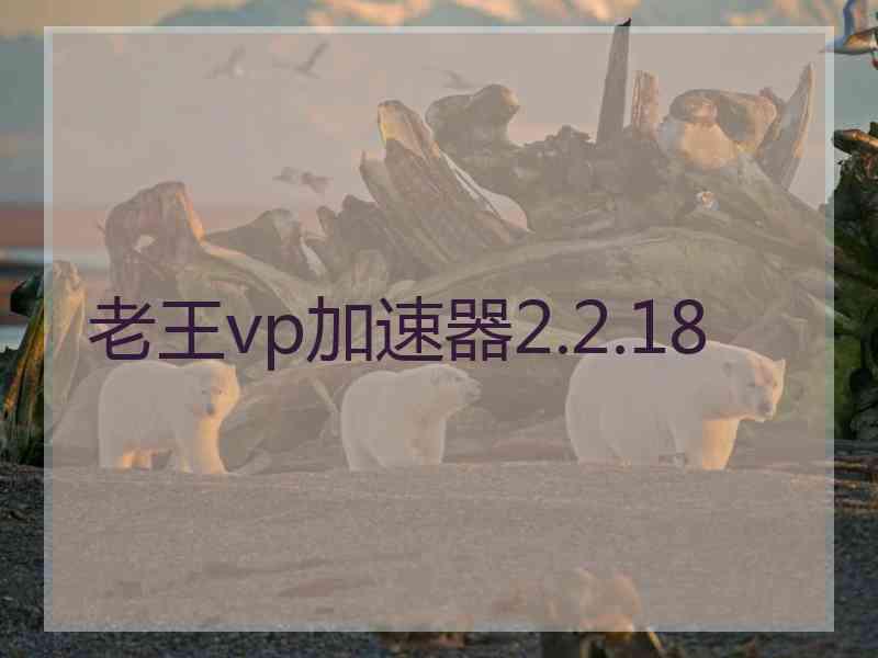 老王vp加速器2.2.18