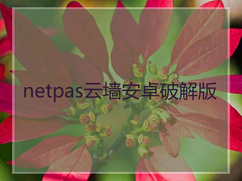 netpas云墙安卓破解版